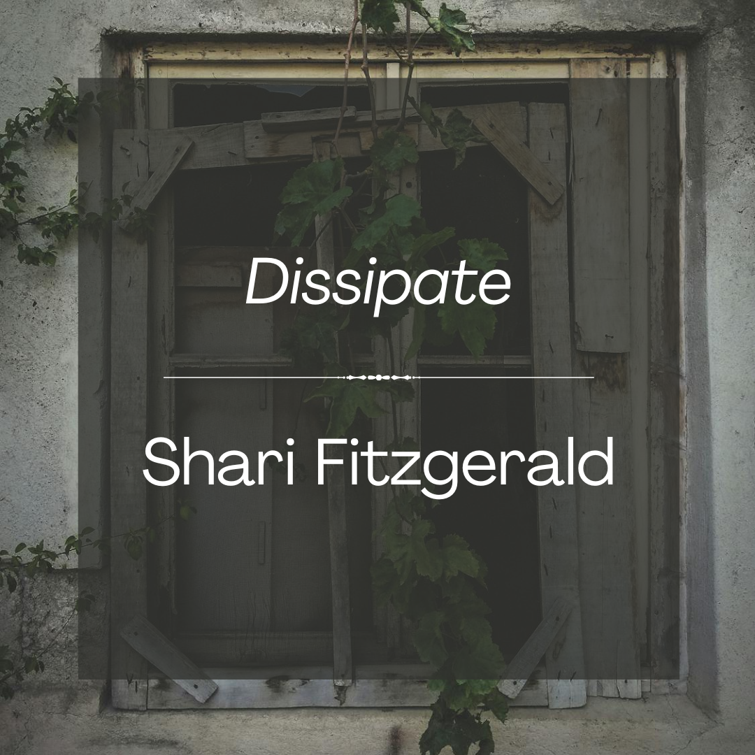 Dissipate